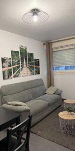 T2 meublé - rue de Bourgogne - Photo 4