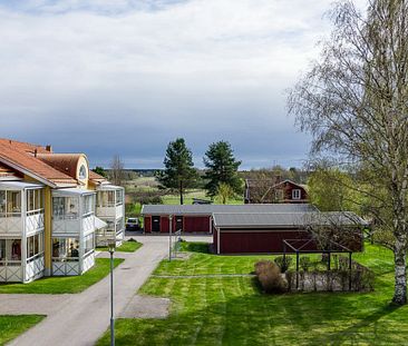 Rymlig tvåa på markplan - Foto 5