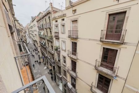 Carrer dels Tallers, Barcelona, Catalonia 08001 - Photo 2