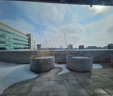 For Lease - 60 Frederick Street Unit# 3413, Kitchener, Ontario - Photo 3