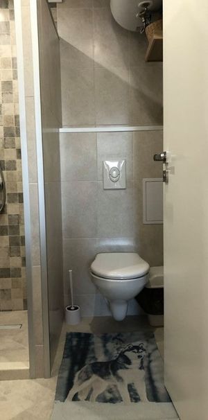 Se inchiriaza apartament cu o camera - Fotografie 2