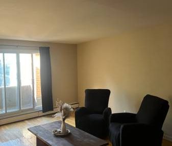 1 Bedroom Apartment - Photo 2