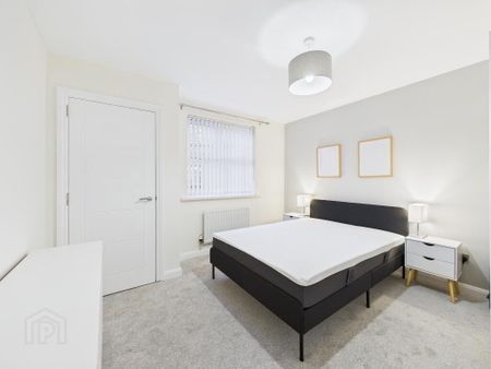 Bass Buildings, Alfred Street, Belfast, BT2 8EP - Photo 3