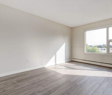 1 Bedroom - Photo 3