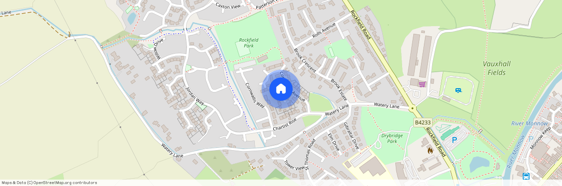Cornpoppy Avenue, Monmouth, NP25