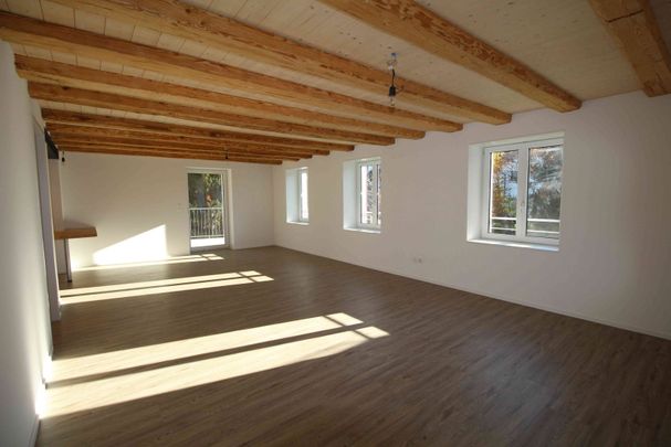 5.5 Zimmer, 155 m² - Foto 1