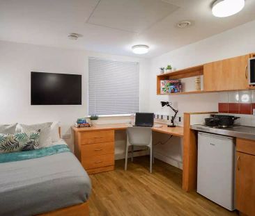 Gold Studio - Photo 6