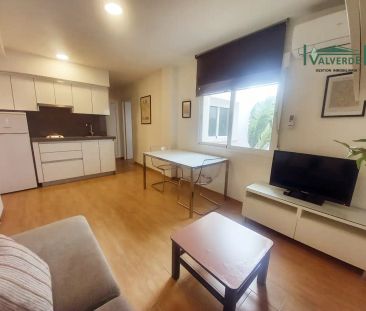 Apartamento de alquiler en Plaza de la Trinidad, 1, Centro - Sagrario - Foto 1