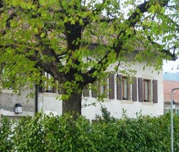 Magnifique corps de ferme - Foto 6