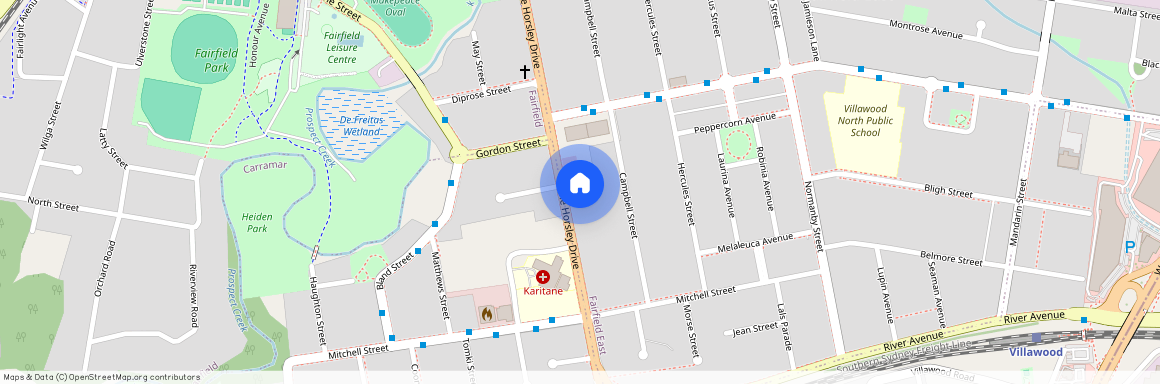 177 The Horsley Drive, NSW 2165, Fairfield East