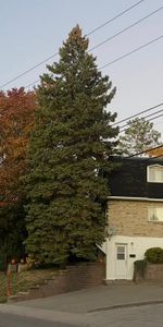4 1/2 Boulevard Gouin, est Montréal - Photo 3