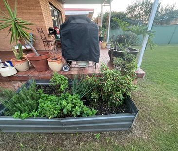 Sans Souci - Photo 2