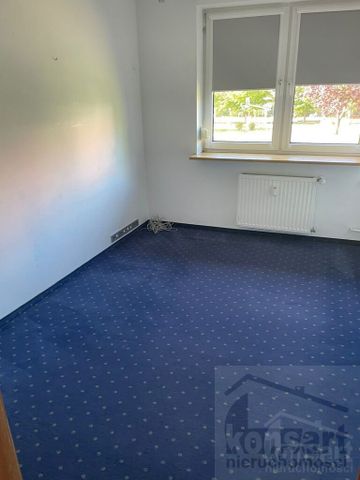 Seledynowa, ZACHODNIOPOMORSKIE, BUKOWE, Szczecin - Zdjęcie 2