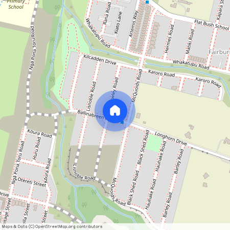 3 Ballinabreen Road, Flat Bush, Manukau City