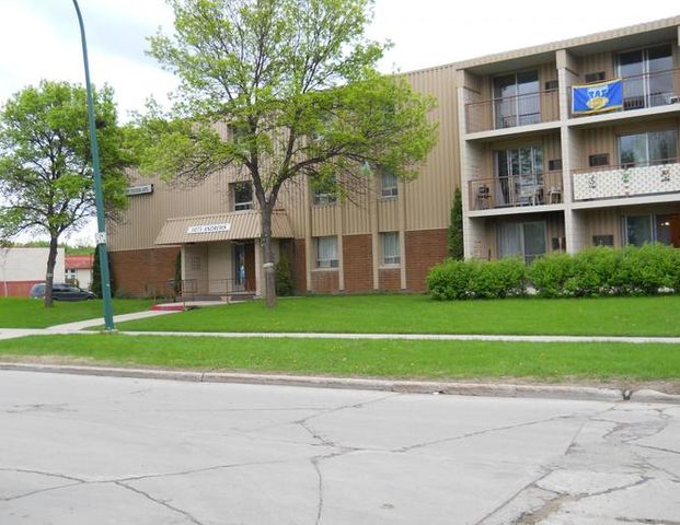 1075 Andrews Street | 1075 Andrews St, Winnipeg - Photo 1