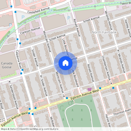 185 Bowie Avenue Unit# Lower, Toronto