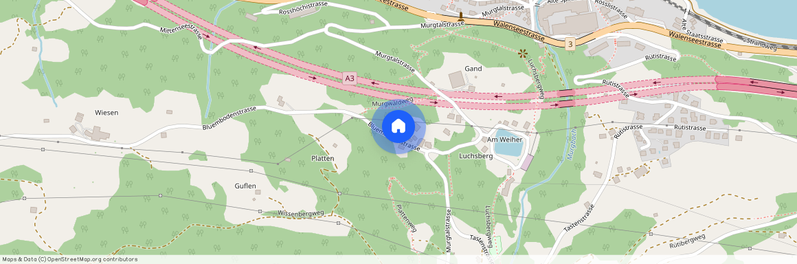 8877, Murg, Bluembodenstrasse, 8