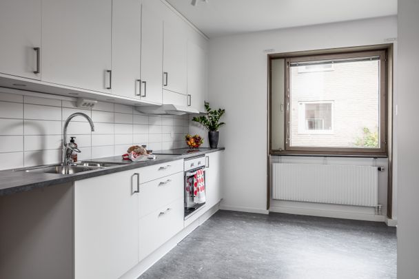 Assistentvägen 24, Luleå - Photo 1