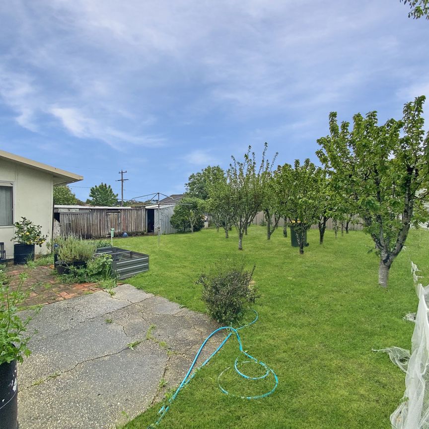 1200 Grevillea Road, Wendouree - Photo 1