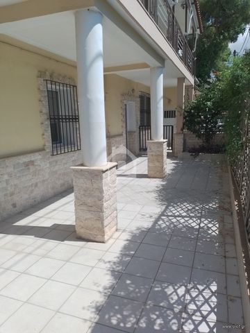 Μονοκατοικία 150 τ.μ. για ενοικίαση, Αθήνα - Βόρεια Προάστια, Κηφισιά - Photo 5