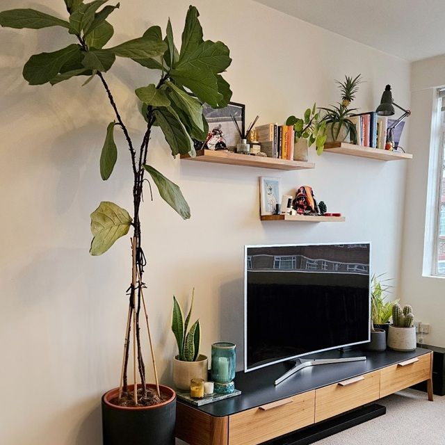 1 Bed Flat, Du Cane Court, SW17 - Photo 1