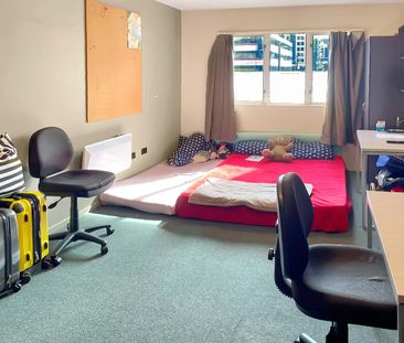 Studio Apartment in the Heart of Wellington! - Photo 1
