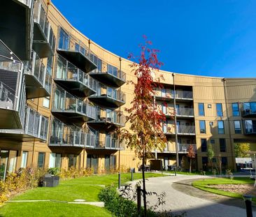 Dejlig terrasse ud til grønt område - Foto 1