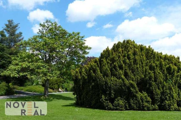 NÄHE HOHE WARTE - HELLE UND RUHIGE WOHNUNG MIT GARTENNUTZUNG - Foto 1