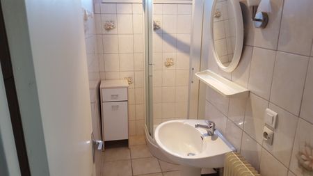 Location Appartement 2 pièces 44m² RIORGES 42153 - Photo 5