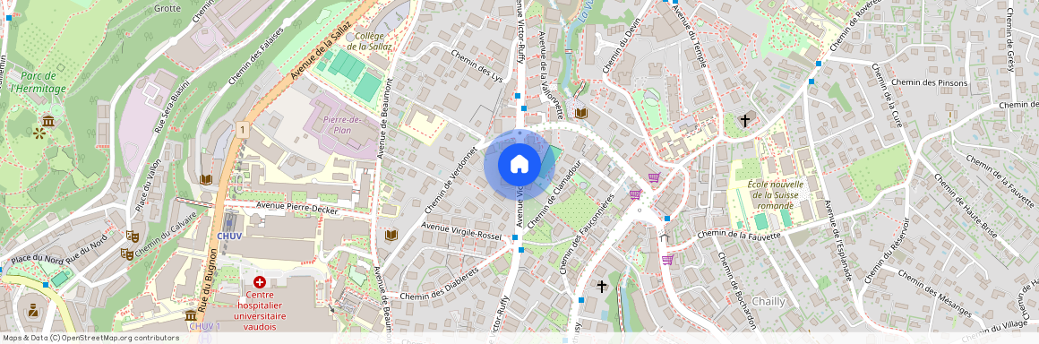 Avenue Victor-Ruffy, 1012 Lausanne