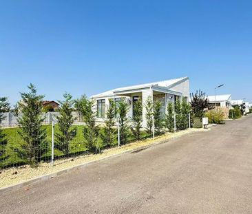 Vila noua 4 camere Parter, 500mp, - Photo 3