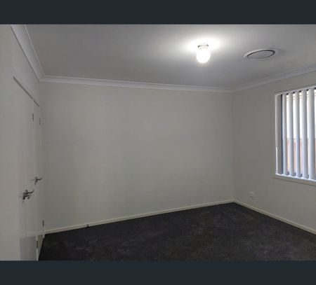 3 Darkmouth St, Chisholm, NSW 2322 - Photo 4