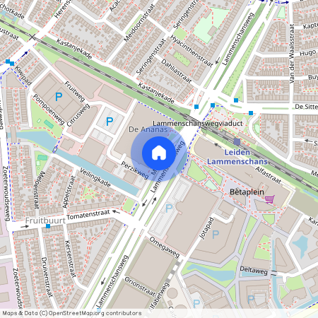 Cronestein, 2321 HZ, Mangoweg, Leiden