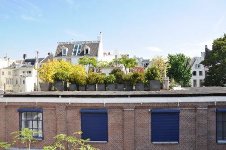 Rapenburg 49 D - Photo 5