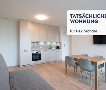 2 Zimmer, 3. Stock - Photo 4
