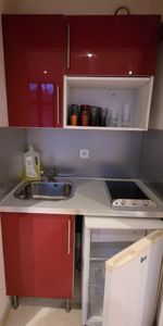 Location Appartement 1 pièce 18m² LILLE 59800 - Photo 3