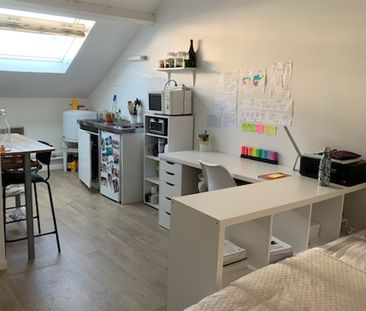 Location Appartement 1 pièce 18m² TOURS 37000 - Photo 5