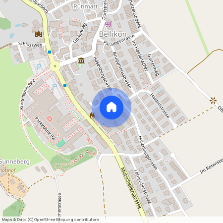 Hasenbergstrasse 18, 5454 Bellikon