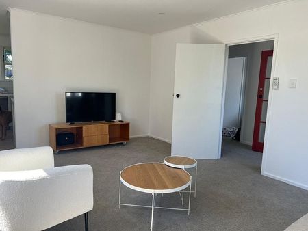 Charming 3BR Home in Havelock North - Photo 3