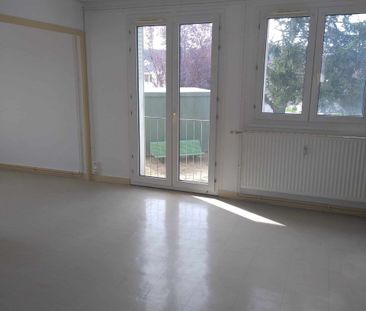 Beau T3 refait à neuf - Photo 4