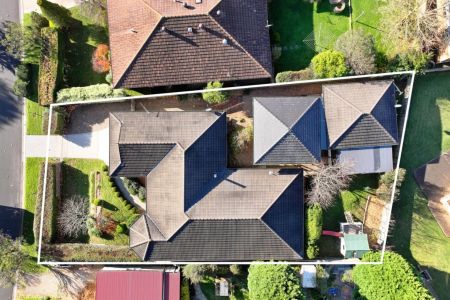 Elevated Family Living with Sweeping Highlands Views - Photo 3