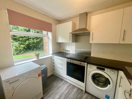 Daisyfield Court - Photo 4