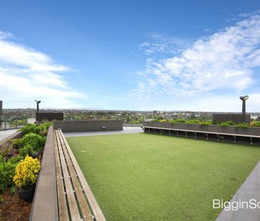 A Walk to Monash University - Photo 4