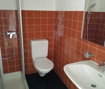 Mendrisio, 3,5 locali con doppi servizi, ristrutturato - Photo 6