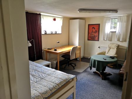 Viktor Rydbergsgatan, Jönköping - Photo 5