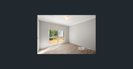 NEAT & TIDY - Photo 4