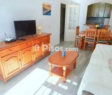Piso en alquiler en los Llanos - Photo 4