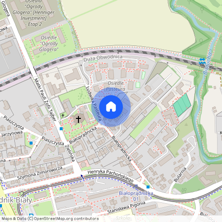 ul. Ludwika Pasteura, Prądnik Biały, Prądnik Biały, Kraków, małopolskie