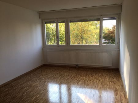 Appartement à Schiffenen de 4.5 pièces au 1er - Photo 2