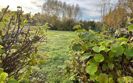 Maison à louer 3 pièces • Selles-sur-Cher - Photo 4
